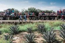 Cientos de migrantes centroamericanos ingresan al estado de Oaxaca en un trailer, un par de horas después de que la policía les bloqueara el paso sobre la carretera México 190.