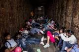 Viernes 19 de octubre. Un grupo de migrantes hondureños viajan al interior de un furgón de carga para unirse a la caravana migrante que se concentraba en la frontera de Tecún Umán, que colinda con Chiapas, México. Foto: Fred Ramos.