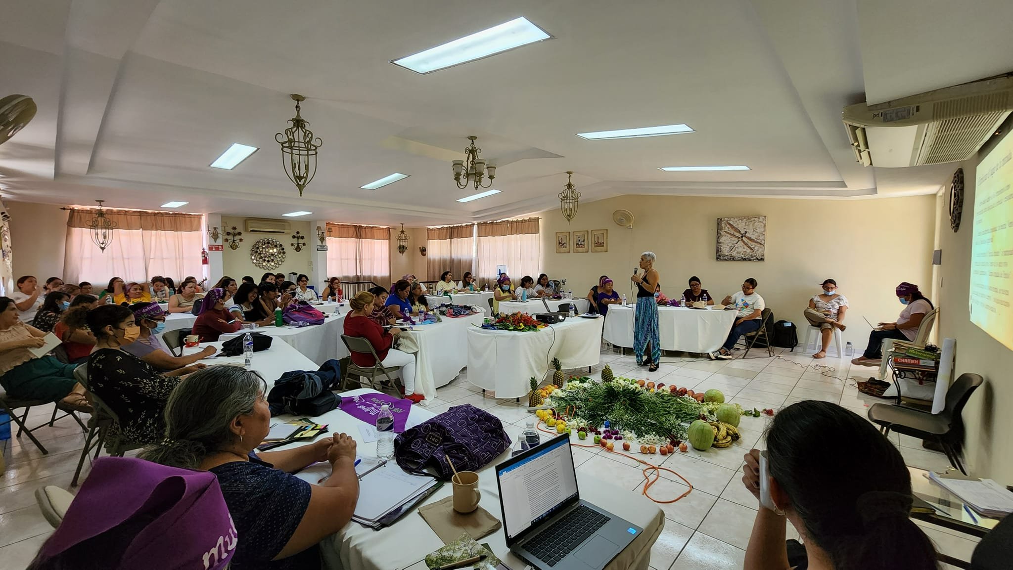 Diplomado Ecofeminista Diplomado Ecofeminista
