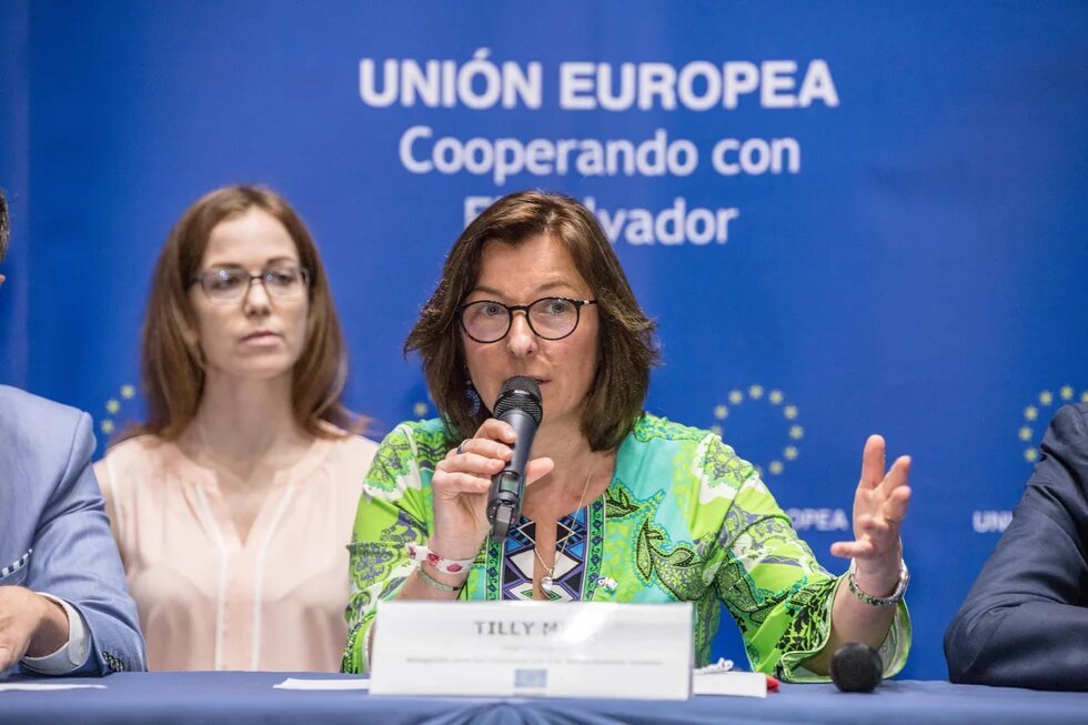 Sra. Tilly METZ (Greens/ALE, Luxemburgo), Presidenta DCAM Sra. Tilly METZ (Greens/ALE, Luxemburgo), Presidenta DCAM.