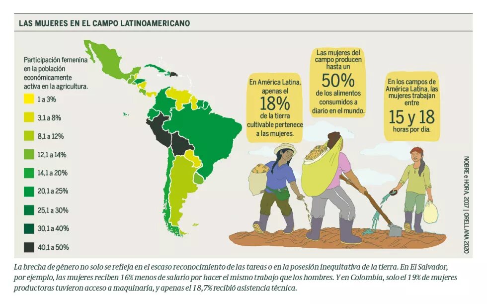 Gráfica que muestra cifras sobre las mujeres en el campo Latinoamericano.