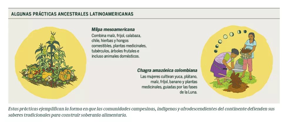 Grafica sobre algunas prácticas ancestrales latinoamericanas. 