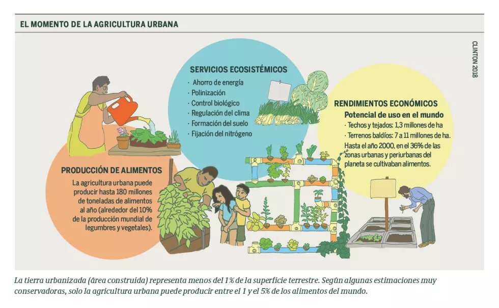 El momento de la agricultura urbana, grafica que muestra tres porcesos de la misma. 