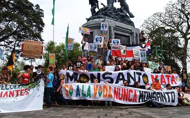 Personas protestando con mantas por el uso de monsanto, las mantas dicen monsanto mata. 