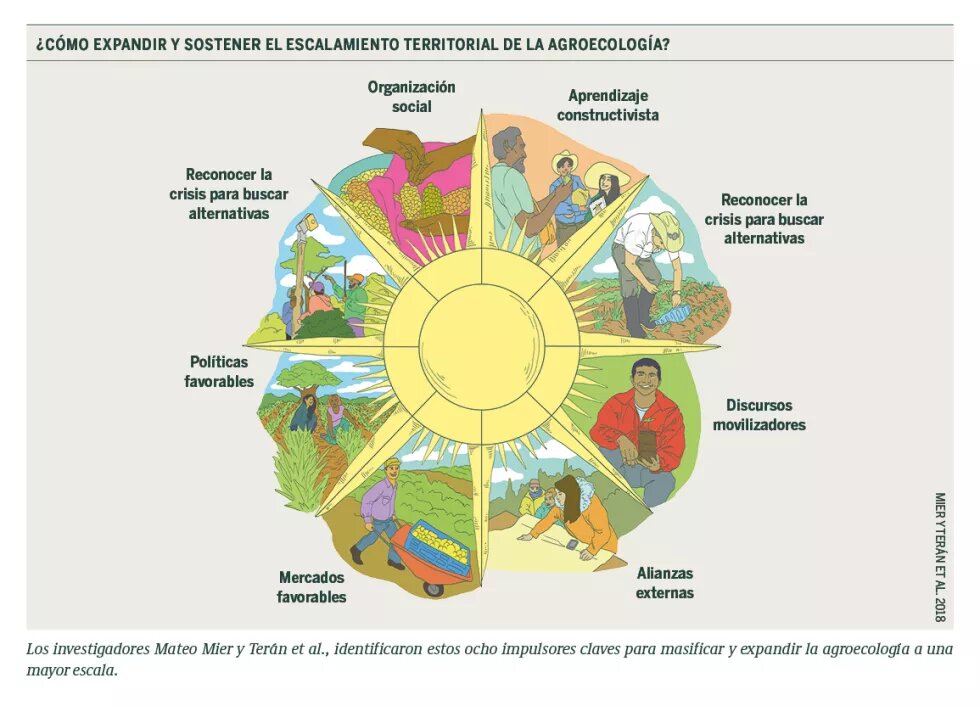 Grafica que muestras los diversos elementos de la agroecología. 