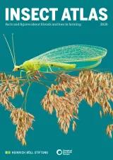 Atlas Insectos en Inglés