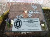 manuela placa manuela placa